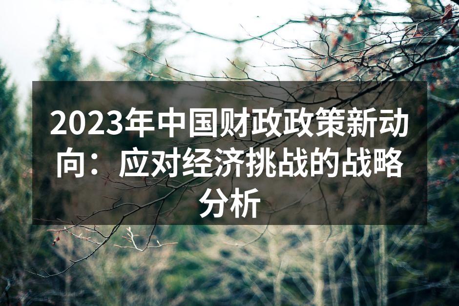 2023年中国财政政策新动向：应对经济挑