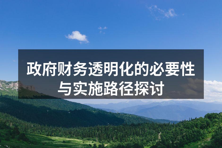 政府财务透明化的必要性与实施路径探讨